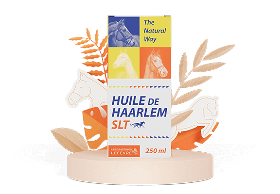 Offre Huile de Haarlem - SLT